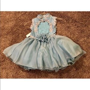 Robinson Dresses - 4 Pageant Flower Girl Special Occasion Dress NWT Robinson Dresses - 4 Pageant Flower Girl Special Occasion Dress NWT
